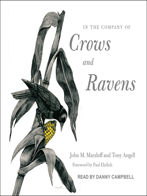 Title details for In the Company of Crows and Ravens by John M. Marzluff - Available